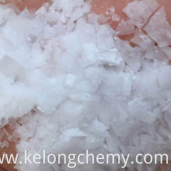 Methoxy Polyethylene Glycol Methacrylate